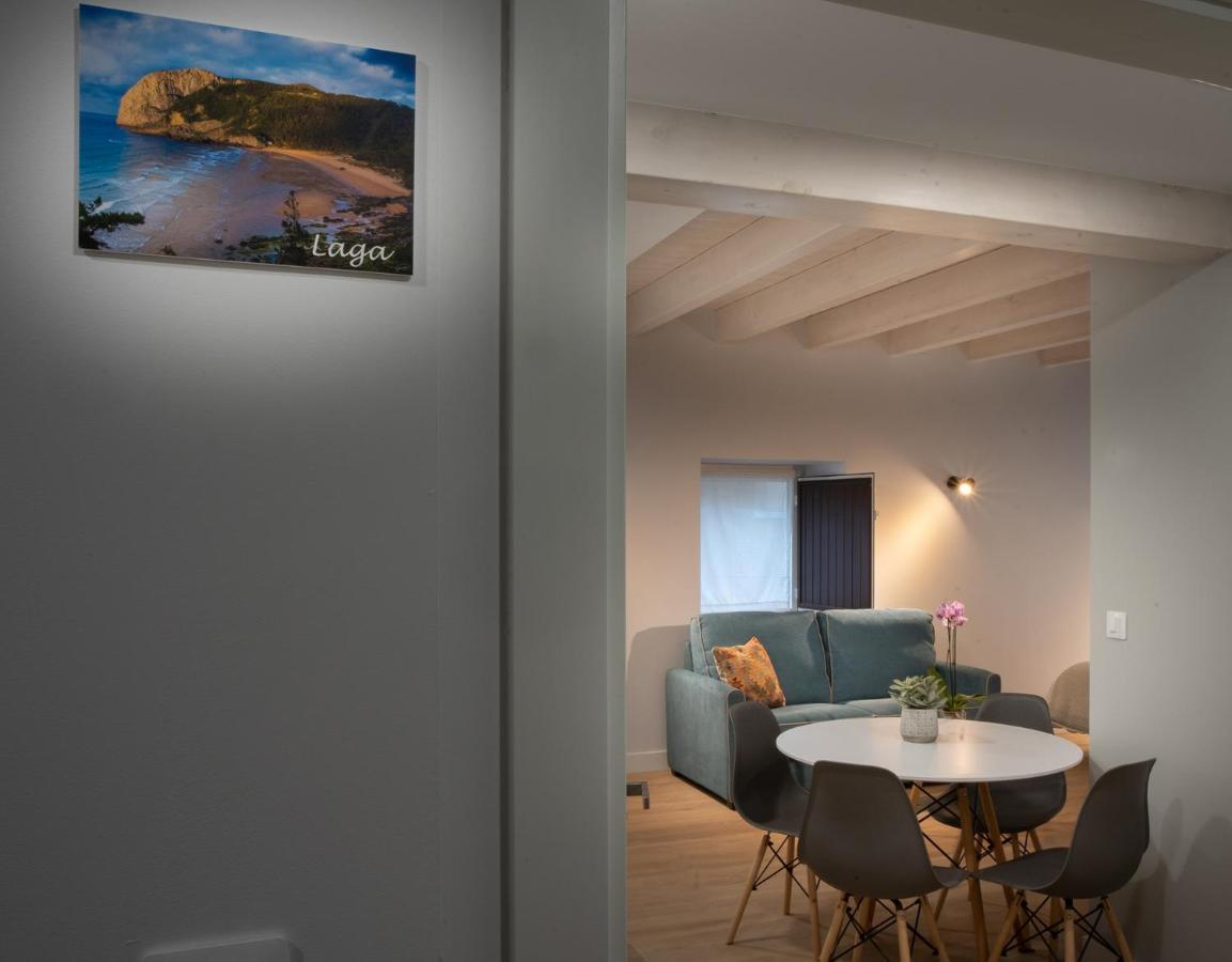 Hondarmendi Apartment