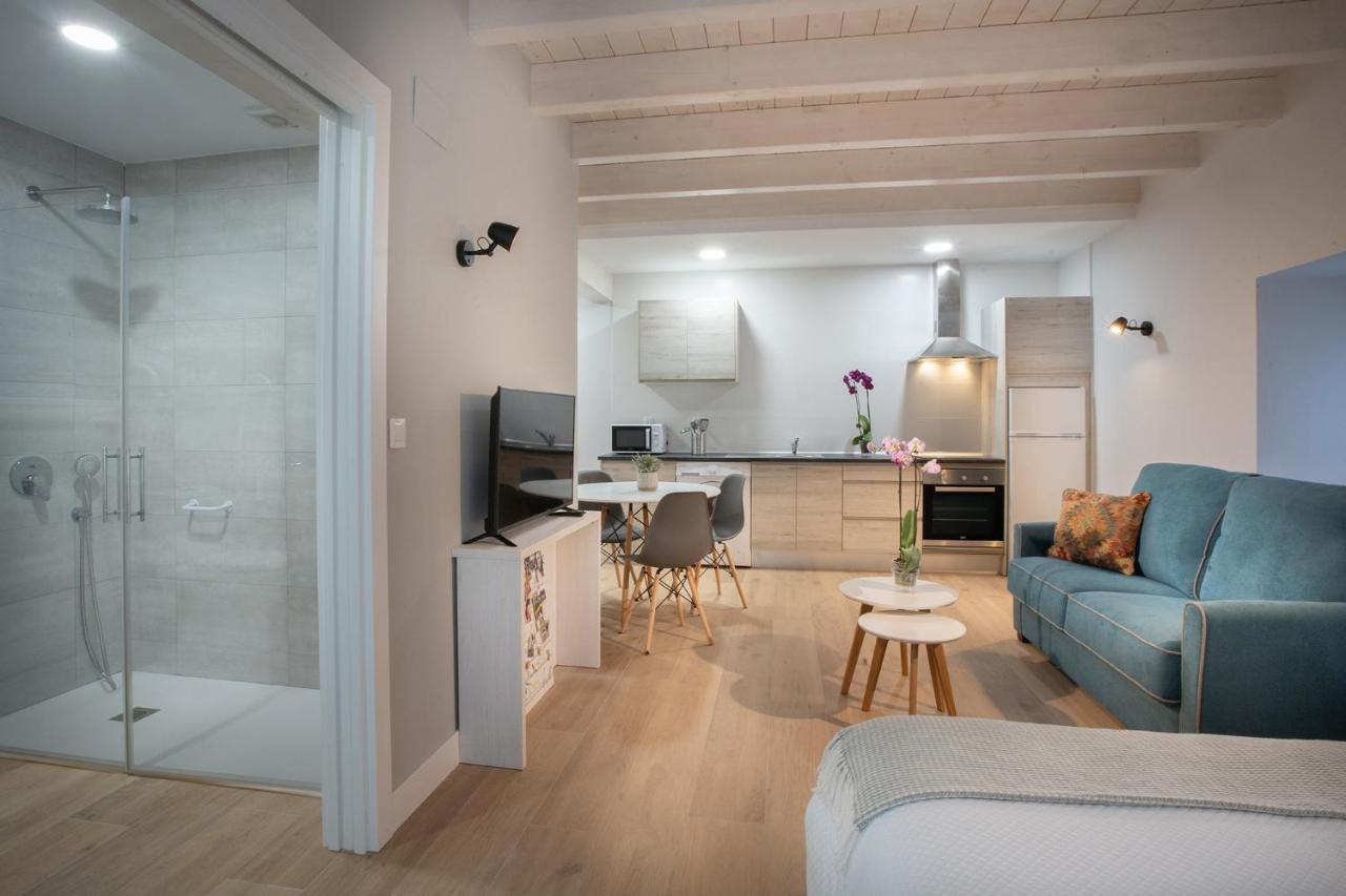 Appartement Hondarmendi